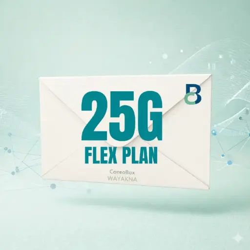 CorreoBox Flex Plan 25G