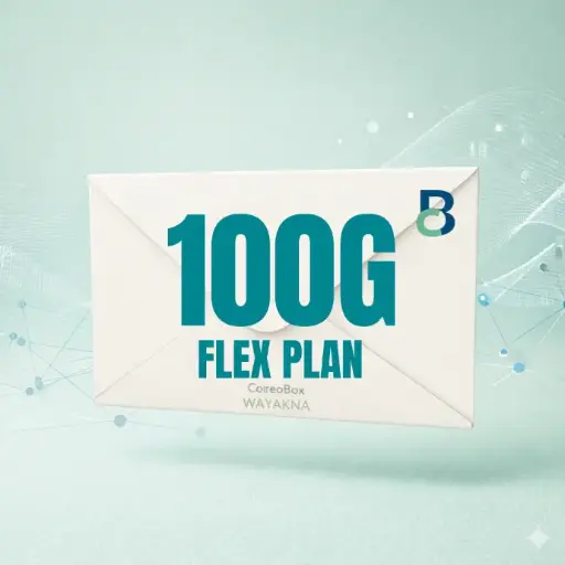 CorreoBox Flex Plan 100G